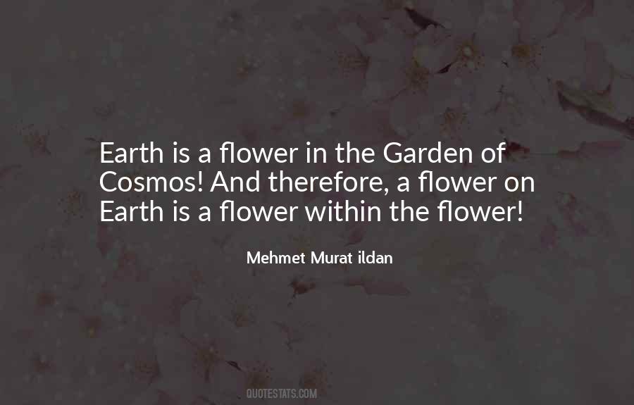 Flower Garden Sayings #896630