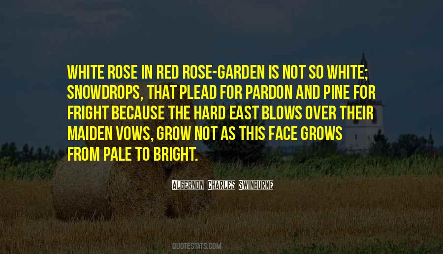 Rose Garden Sayings #1213312
