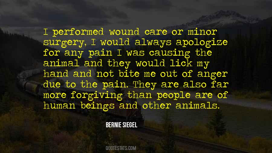 Quotes About Causing Pain To Others #337773