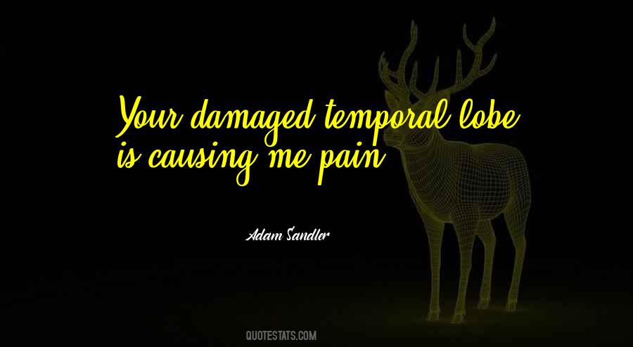 Quotes About Causing Pain To Others #858309