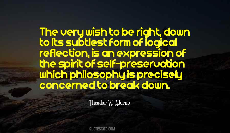 Quotes About Self Reflection #717849 Quotes About Self Reflection #717849