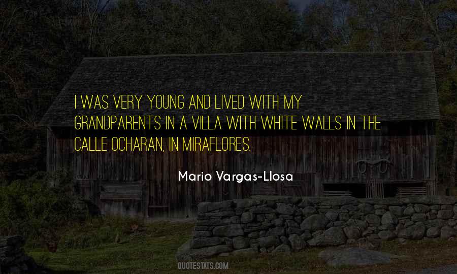 Mario Vargas Llosa Sayings #1586058