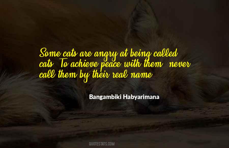 Angry Cat Sayings #50879