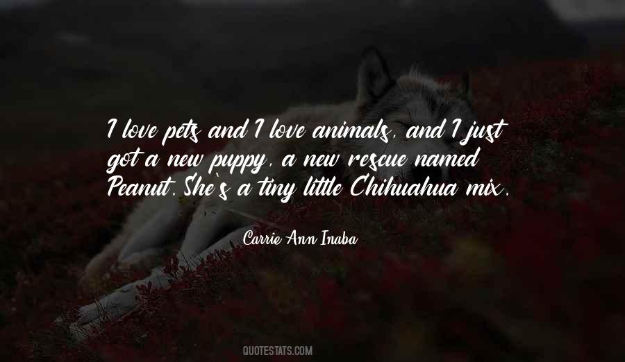 Love Animals Sayings #1439008