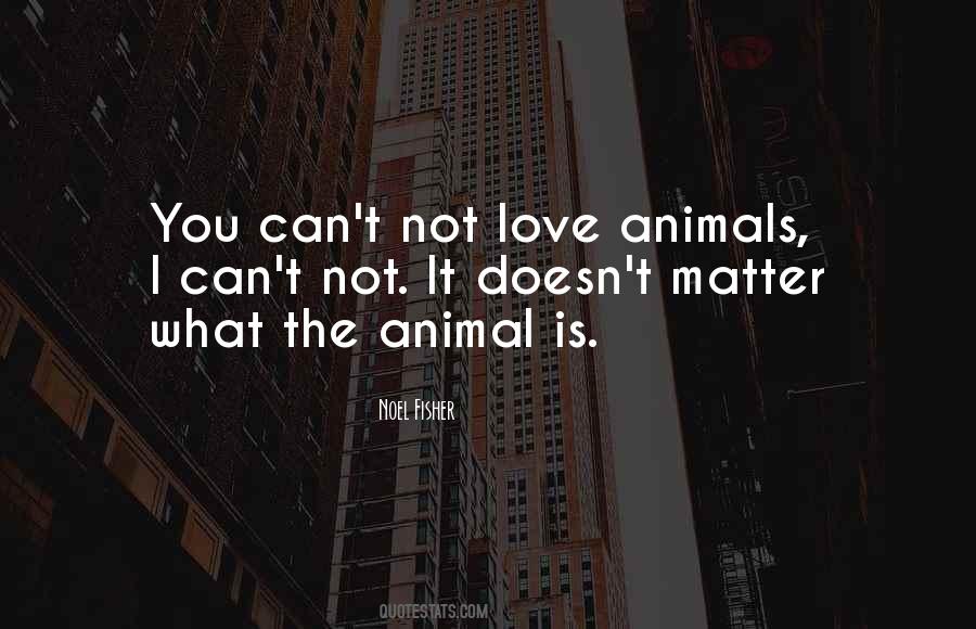 Love Animals Sayings #1697496