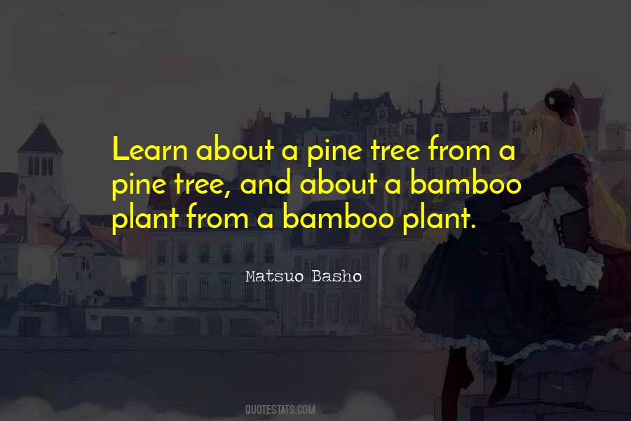 Bamboo Plant Sayings #1768348