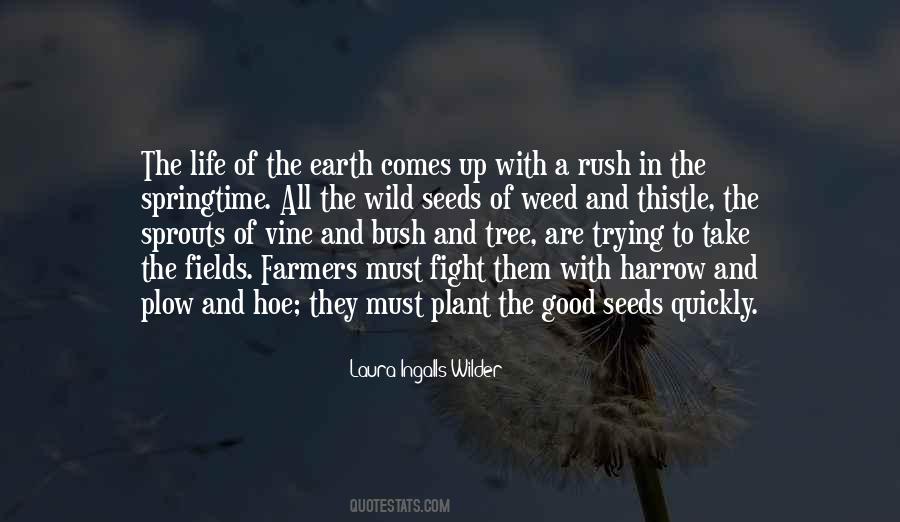 Plant A Tree Sayings #1210864