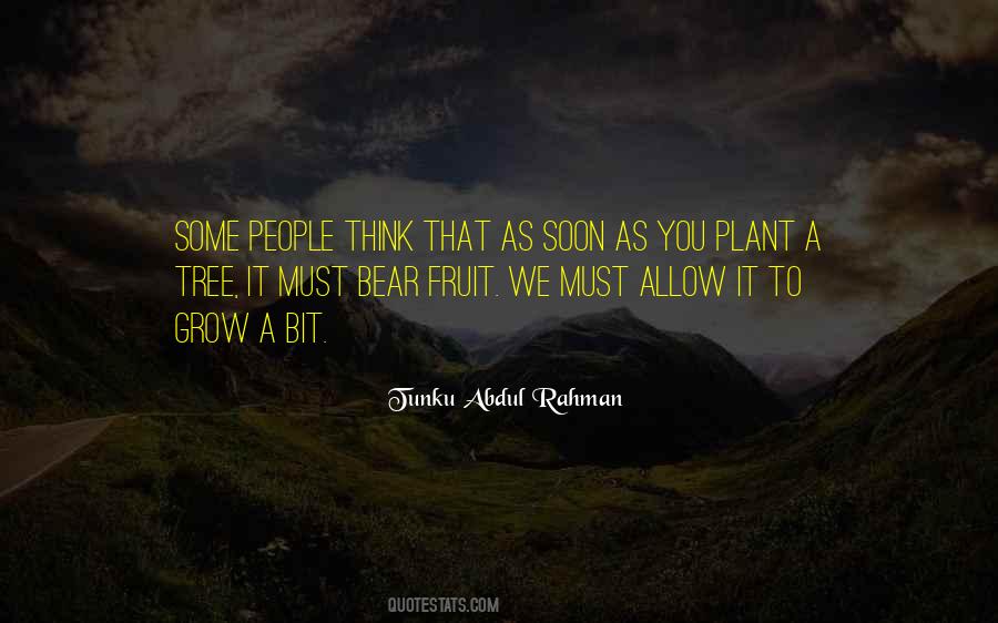 Plant A Tree Sayings #1547813