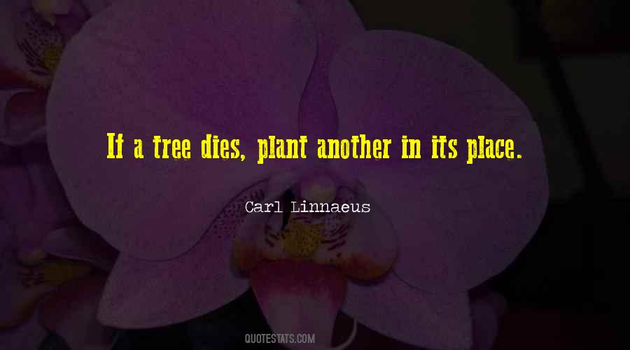 Plant A Tree Sayings #1650459