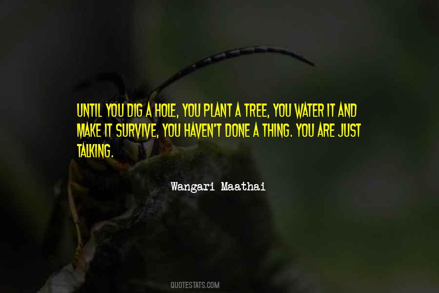 Plant A Tree Sayings #184509