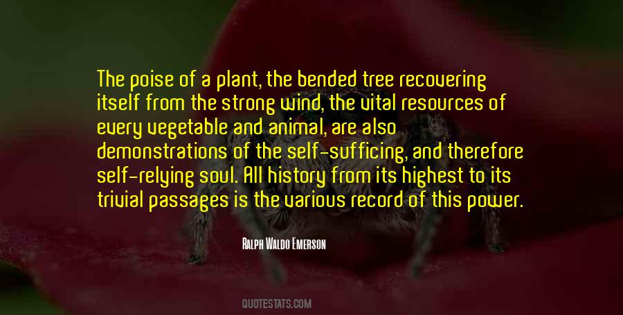 Plant A Tree Sayings #552633