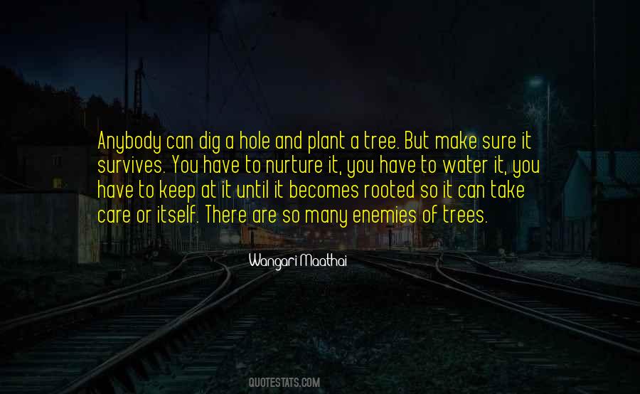 Plant A Tree Sayings #672811