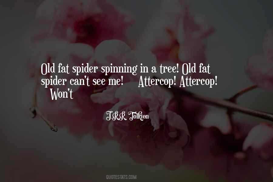 Old Spider Sayings #7510
