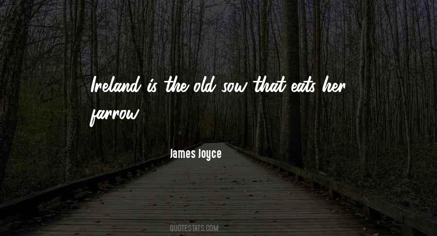 Old Ireland Sayings #831668