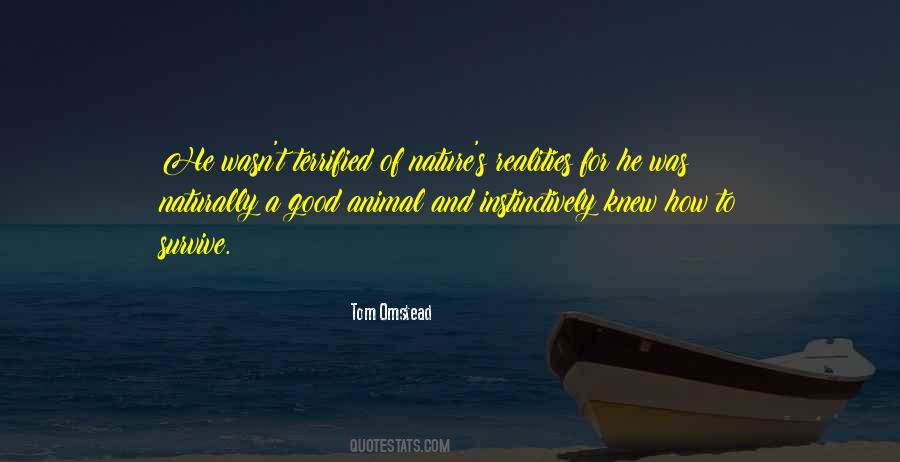 Quotes About Similies #591919