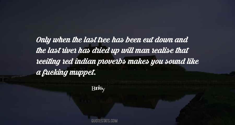 Red Indian Sayings #285517