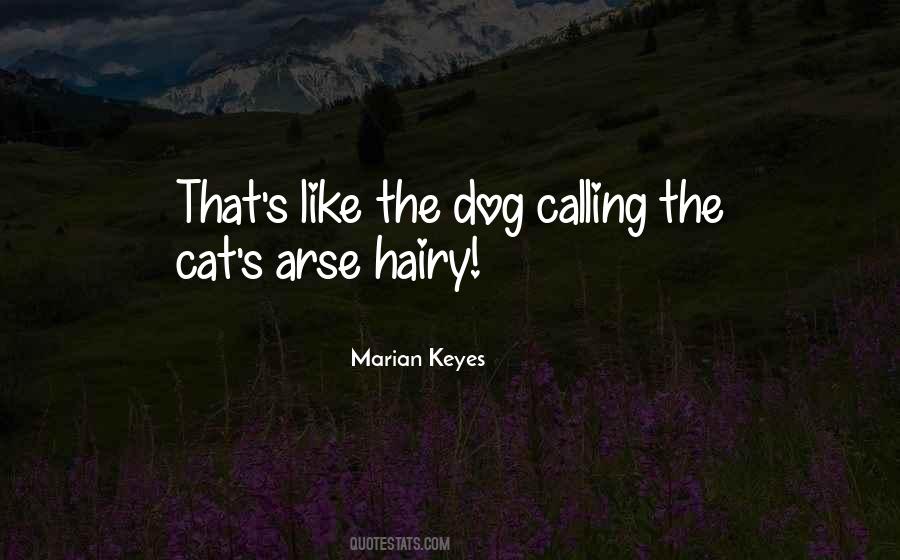 Arse Like A Sayings #1225352