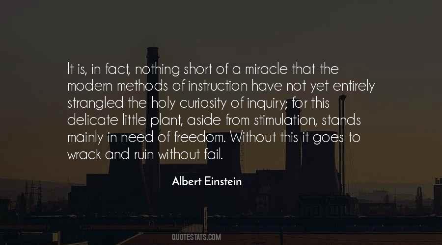 Little Einstein Sayings #1731426