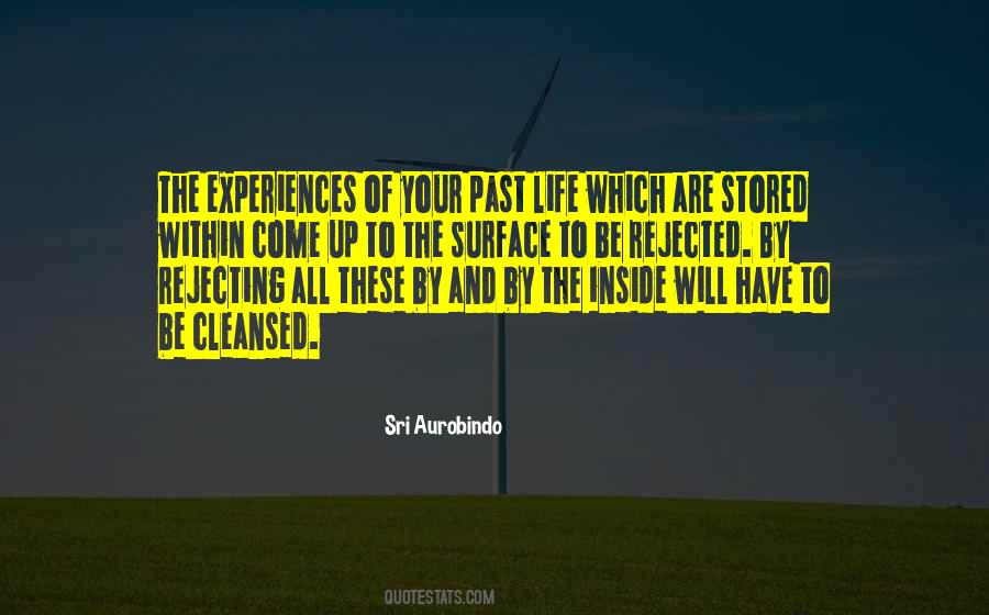 Quotes About Past Life Experiences #470055