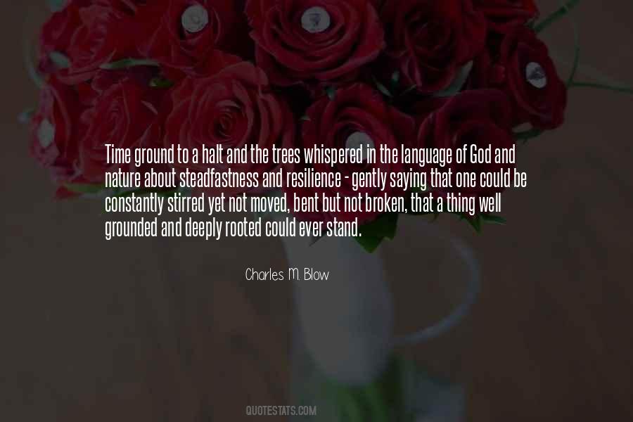 Not Broken Sayings #1552740