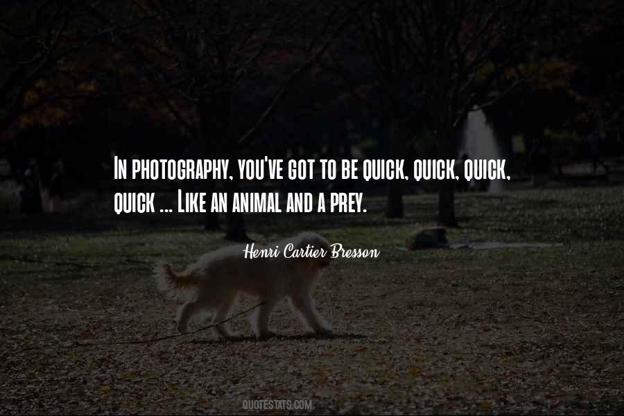 Cartier Bresson Sayings #1437302