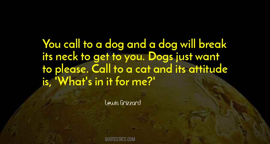 Cat Call Sayings #1757184