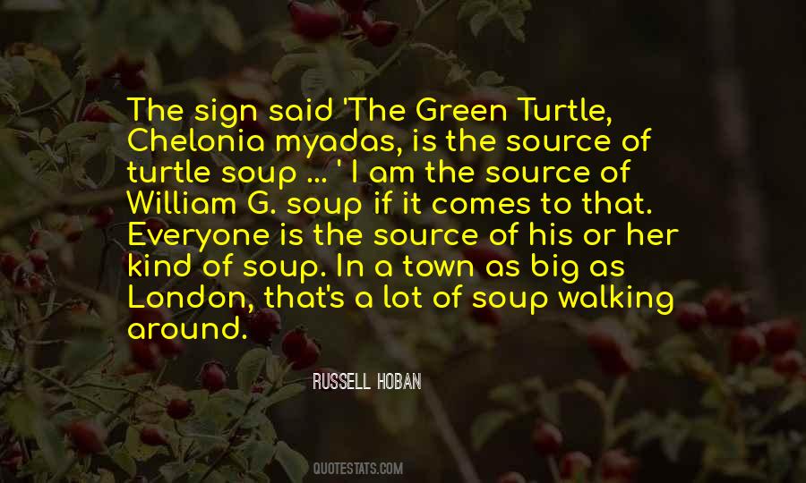 Quotes About Turtles #464404