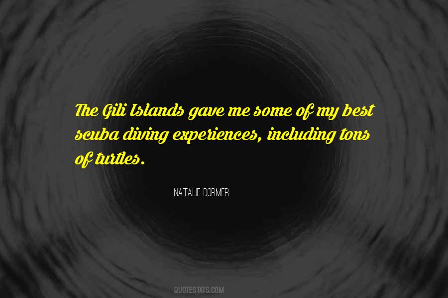Quotes About Turtles #809072