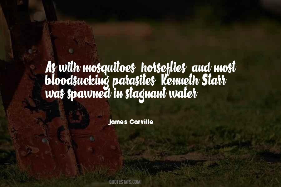 James Carville Sayings #1644990