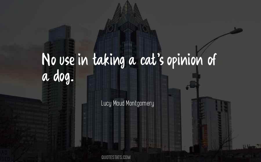 Cat Dog Sayings #549950