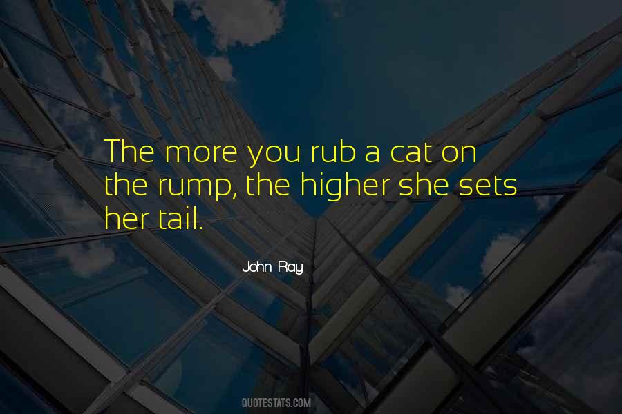 Cat Tail Sayings #107587