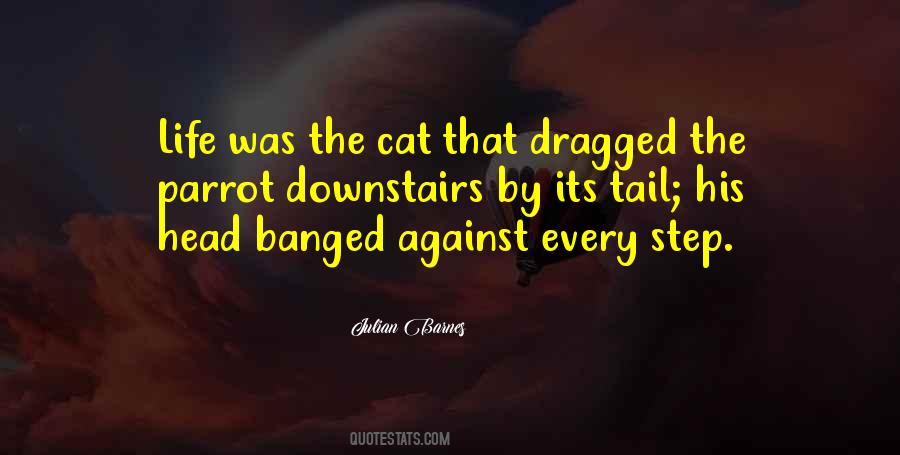 Cat Tail Sayings #145595