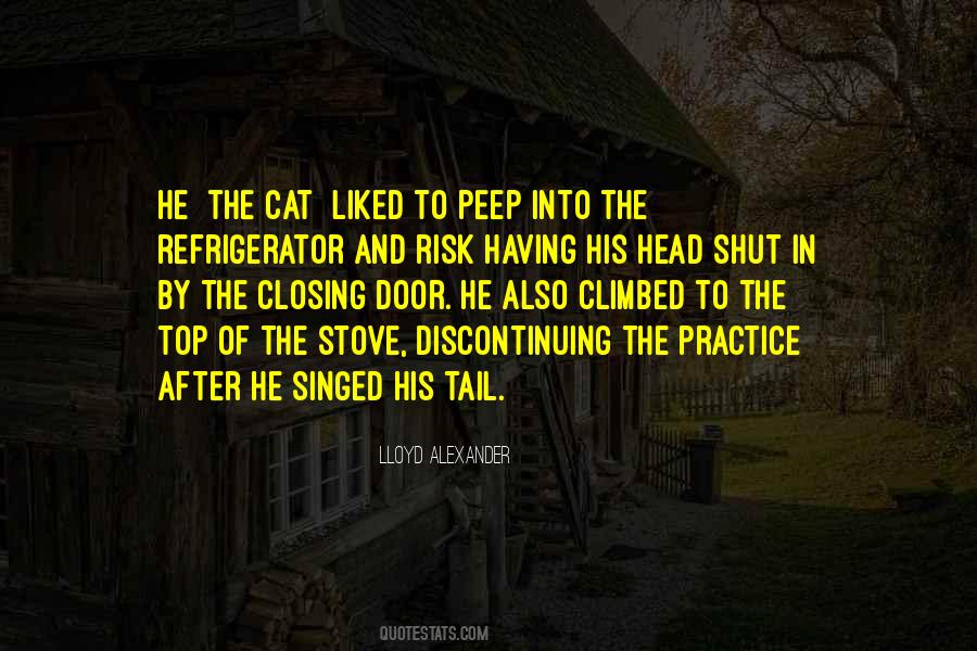 Cat Tail Sayings #26001