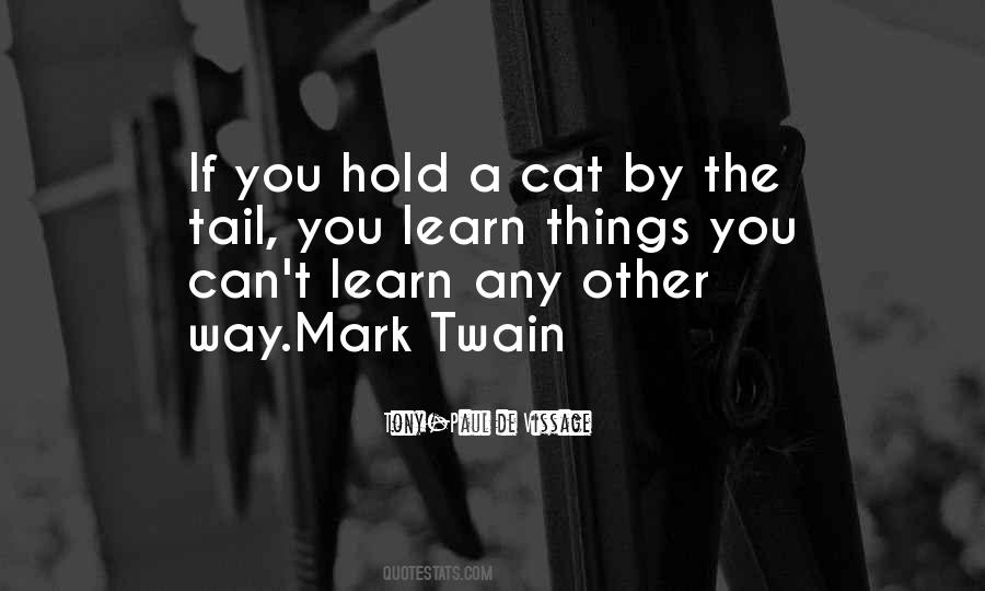 Cat Tail Sayings #574364