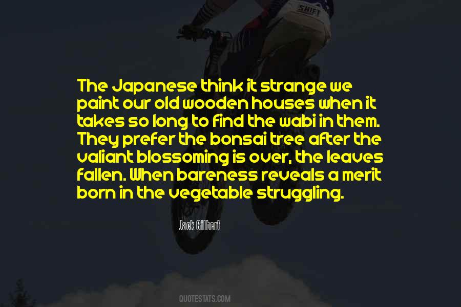 Stupid Celebrity Sayings #162709