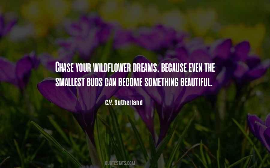 Chase Your Dreams Sayings #1127029