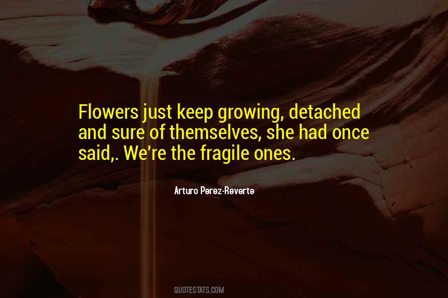 Quotes About Fragile Flowers #177341