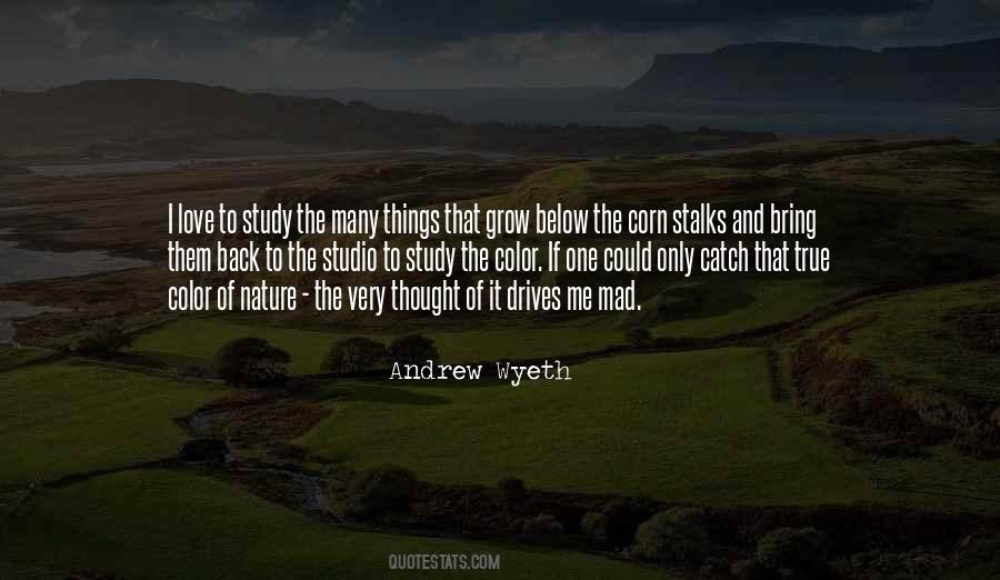 True Color Sayings #300909