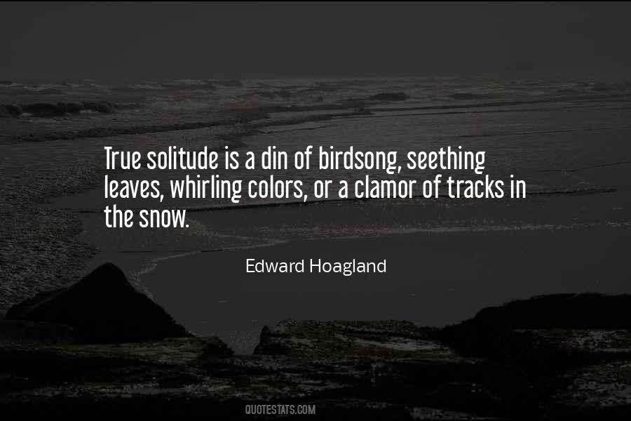 True Color Sayings #536147