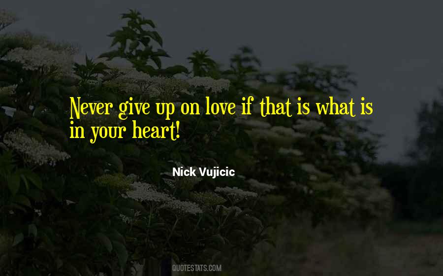 Quotes About Never Give Up On Love #530816