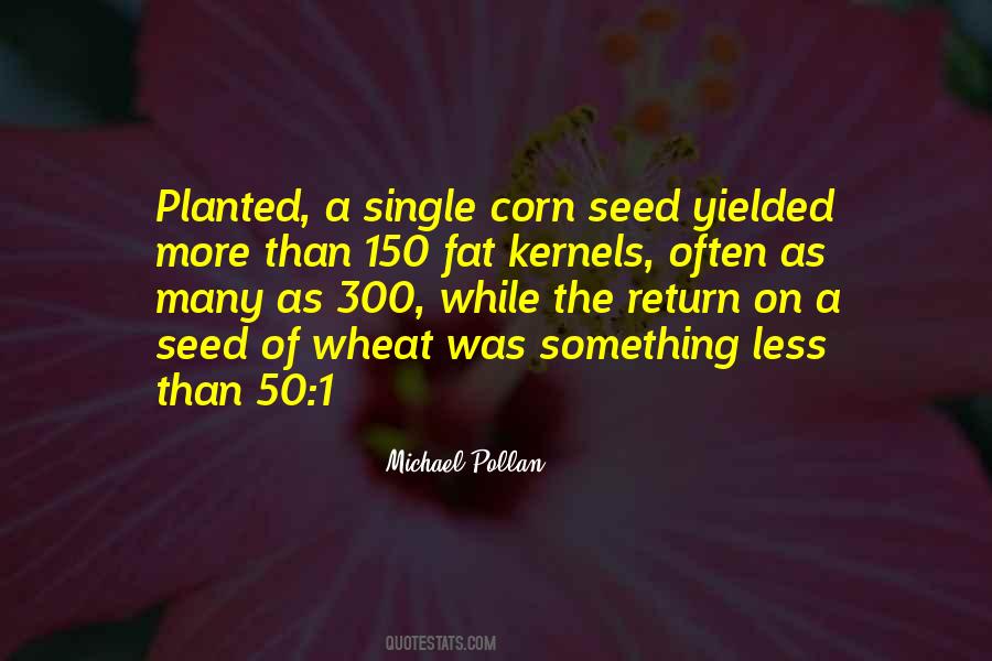 Seed Corn Sayings #336996