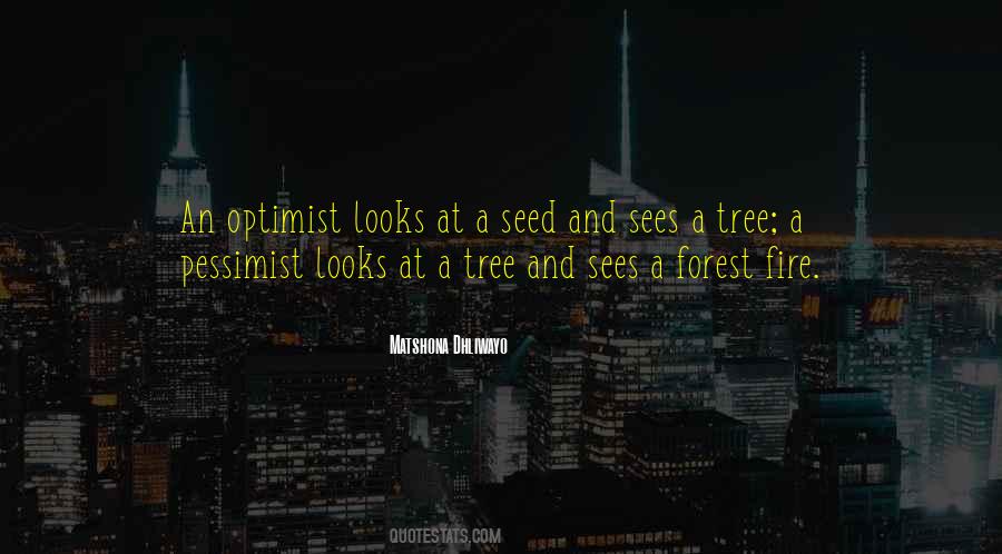 Quotes About A Tree #1777609