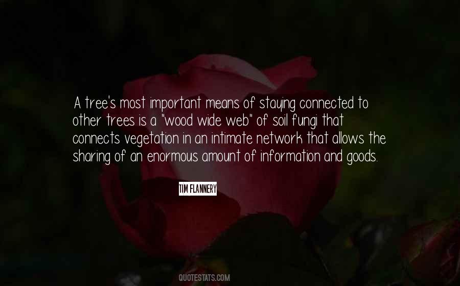 Quotes About A Tree #1784842