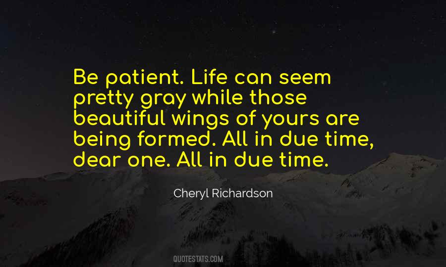 Quotes About Being Patient #1470041
