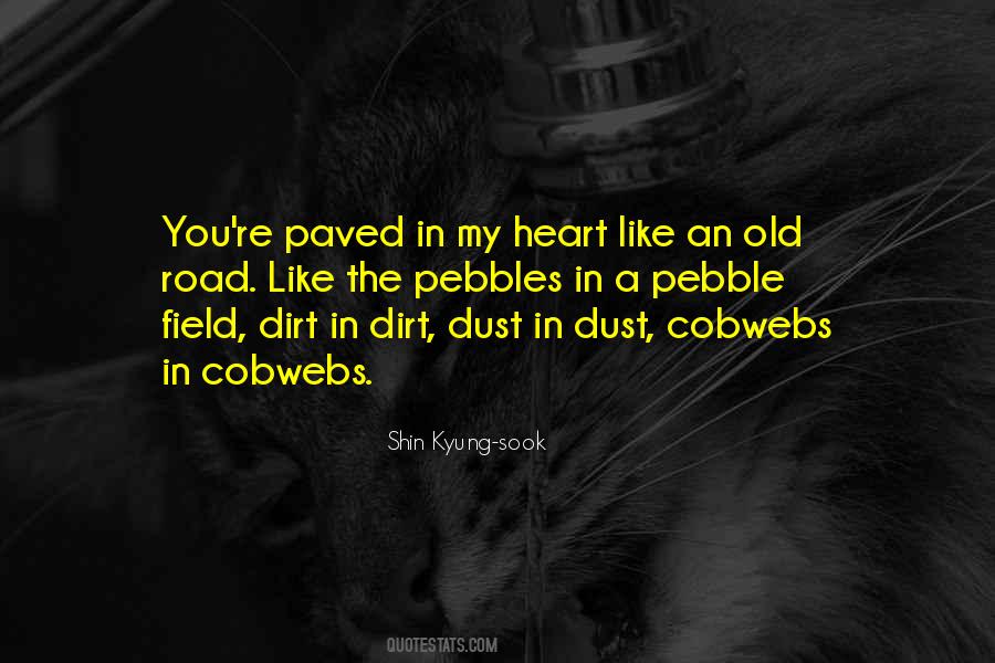 Old As Dirt Sayings #1566694
