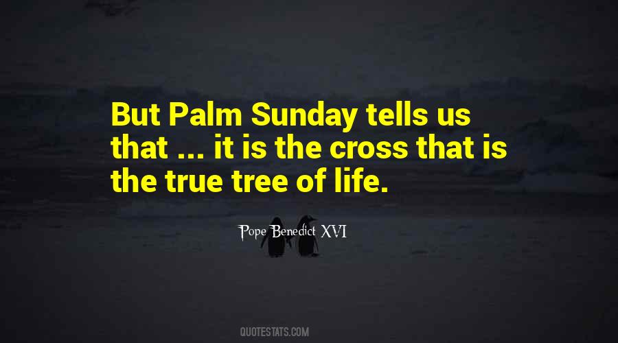 Palm Tree Sayings #270758