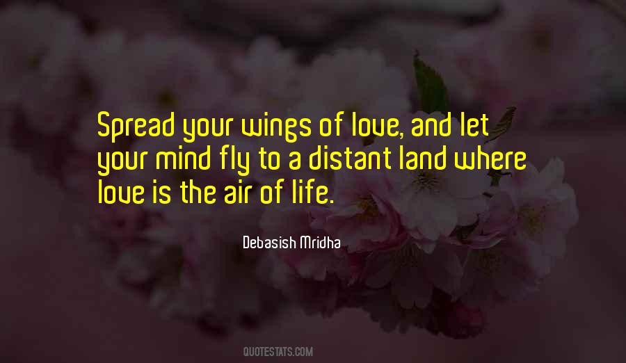 Quotes About Wings And Love #1042471