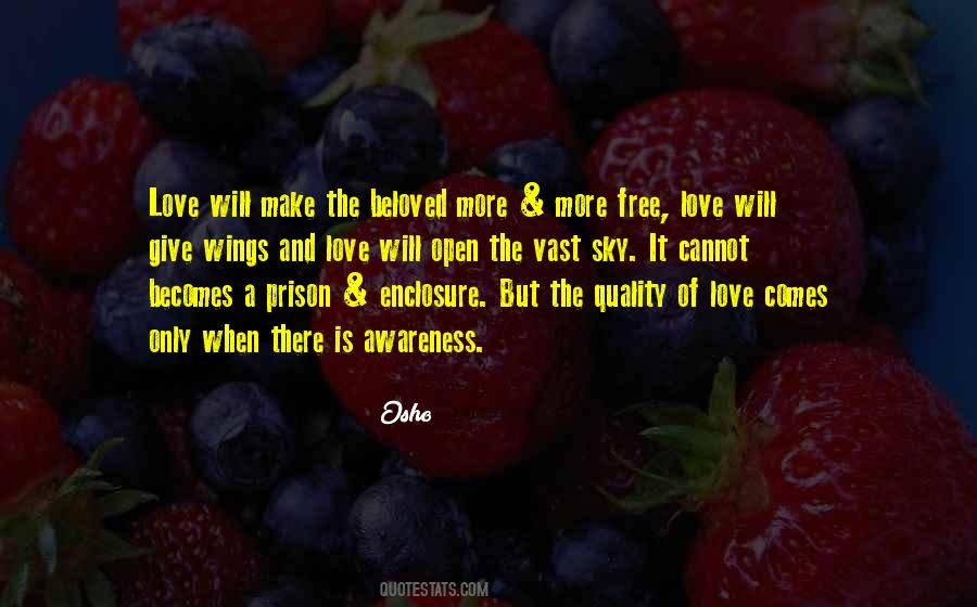 Quotes About Wings And Love #1249413