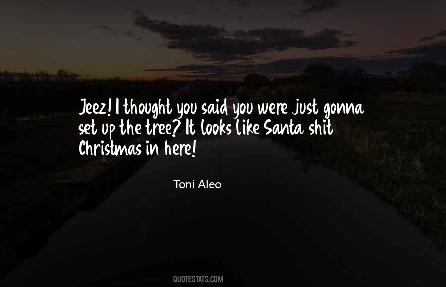 Christmas Santa Sayings #1156005