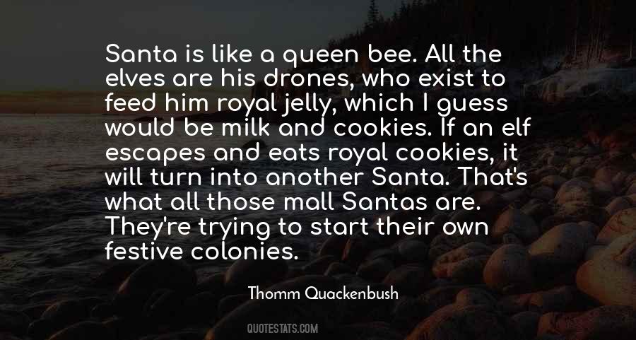 Christmas Santa Sayings #55297